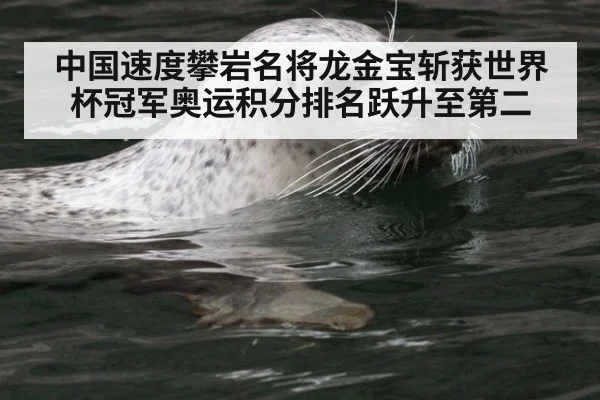 中国速度攀岩名将龙金宝斩获世界杯冠军奥运积分排名跃升至第二